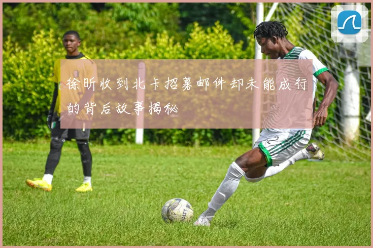 徐昕收到北卡招募邮件却未能成行的背后故事揭秘